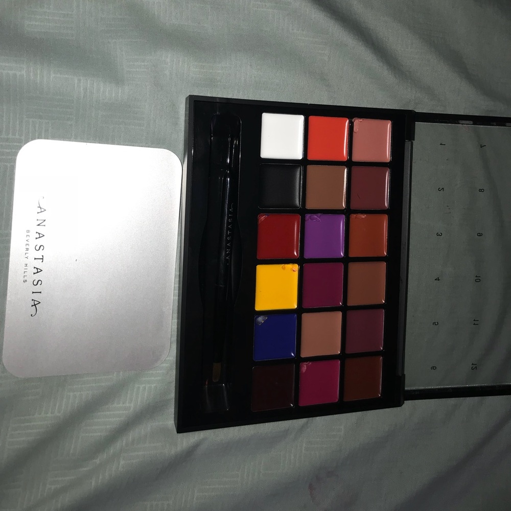Anastasia Lip Palette *lightly used*